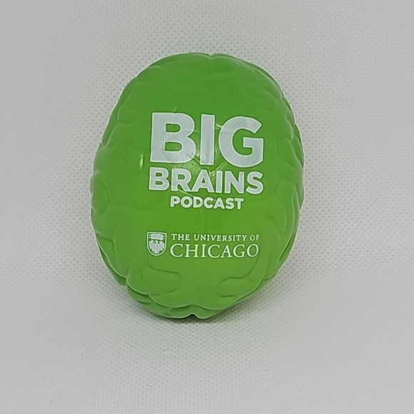 Green Brain Big Brains Podcast Stress Ball The University of Chicago - Picture 1 of 3